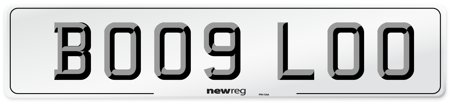 BO09 LOO Number Plate from New Reg